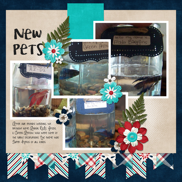 New Pets