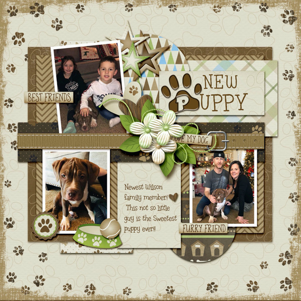 New Puppy