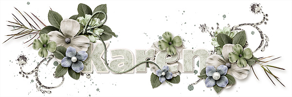 New Siggy