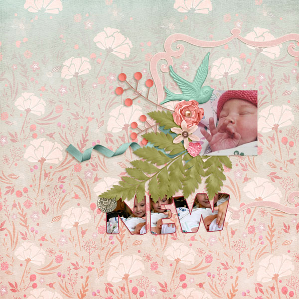 New Sister