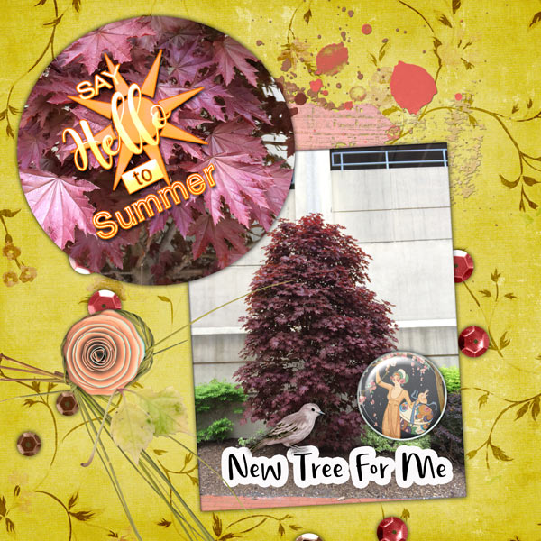 New Tree For Me