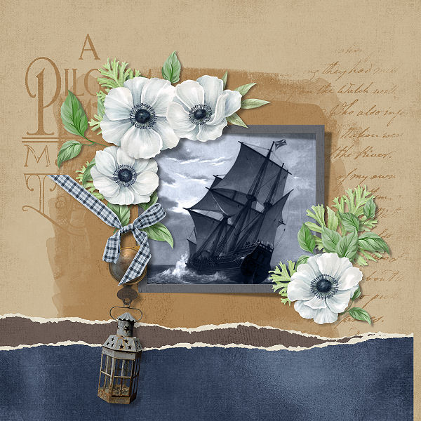 New World Pilgrim by ADB Designs