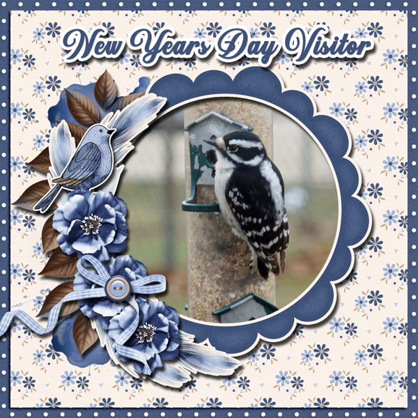 New Years Day Visitor