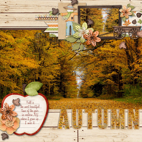 New York Autumn