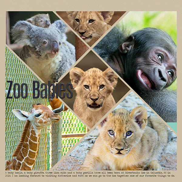 New Zoo Babies