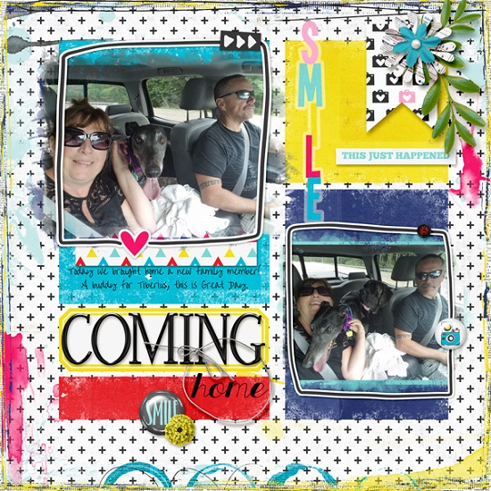 new_family_member