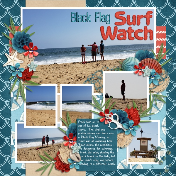 Newport Beach - Black Flag Surf Watch