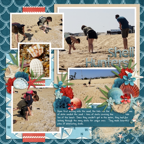 Newport Beach - Shell Hunters