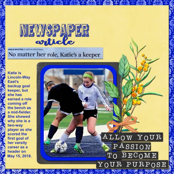 Newspaper Article