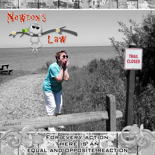 Newton's Law
