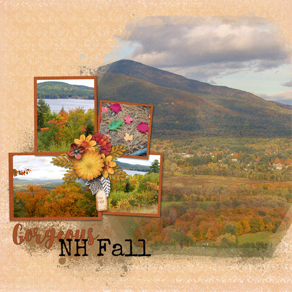 NH Fall