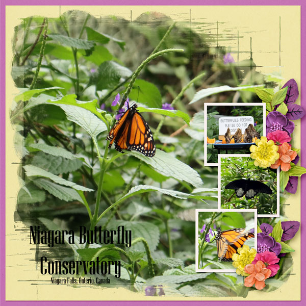 Niagara Butterfly Conservatory