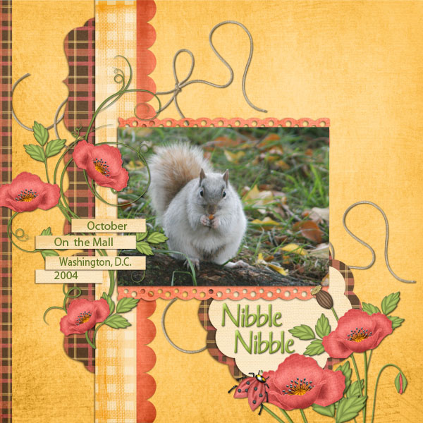 Nibble, Nibble!
