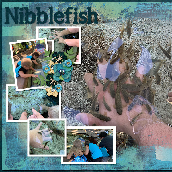 Nibblefish