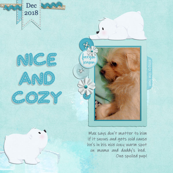Nice and Cozy