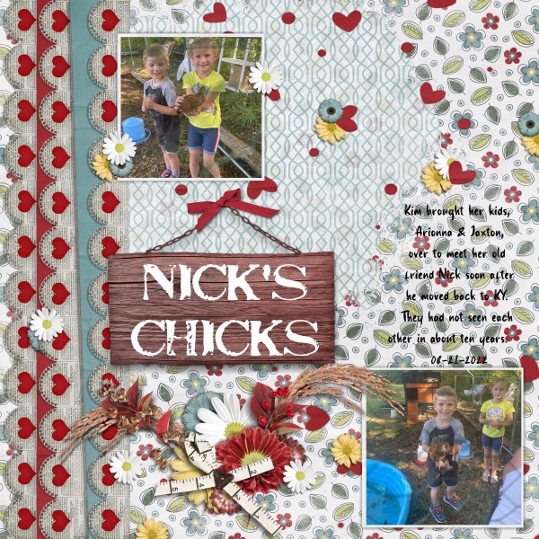 Nick's Chicks