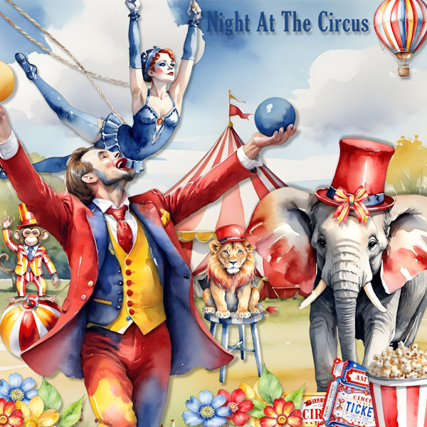 Night At The Circus