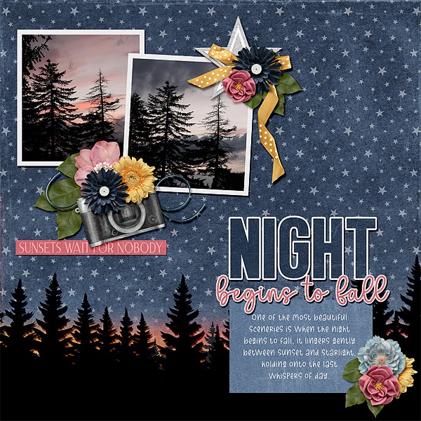 Night Begins to Fall