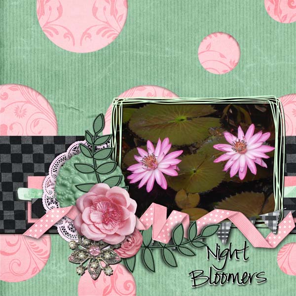 Night Bloomers