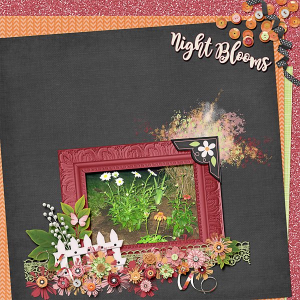 Night Blooms