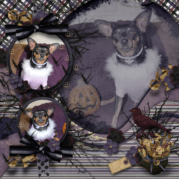 Night Fall Buffet