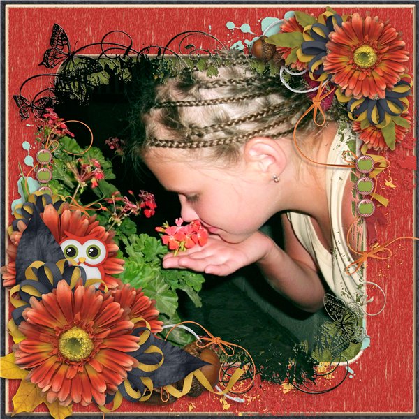 night flowers