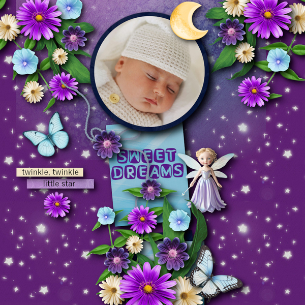 Night Garden
