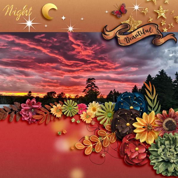 NIGHT - MEMORIES-8-24