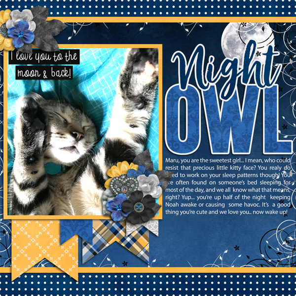 Night Owl