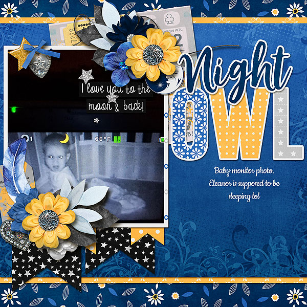 Night Owl