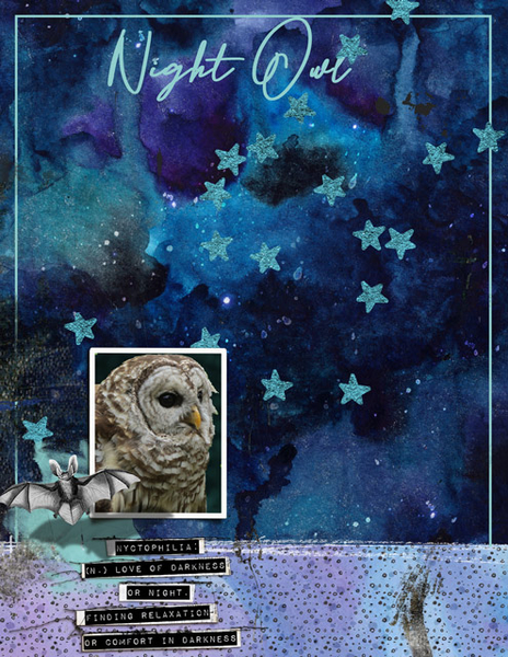 NIGHT OWL