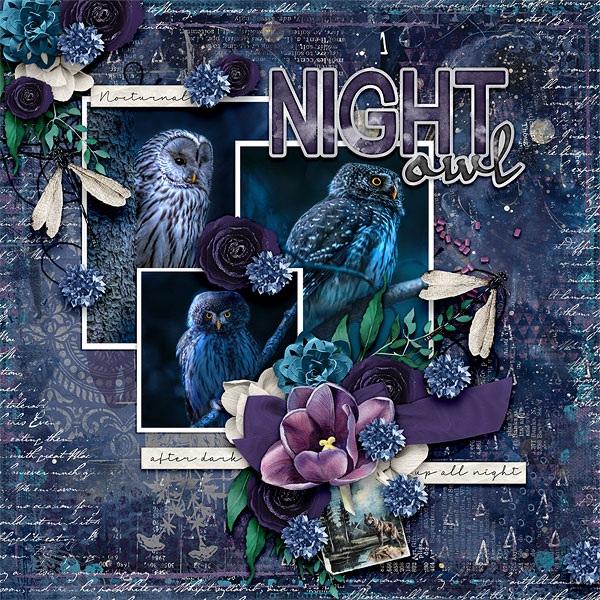 Night Owl
