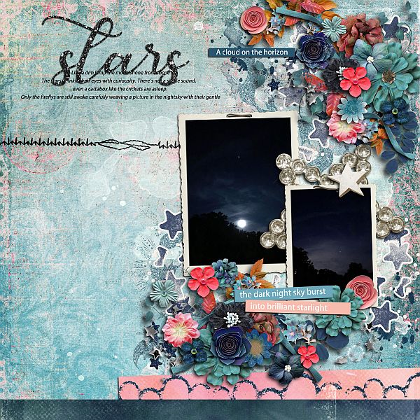 Night stars at camp