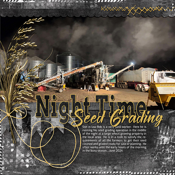 Night Time Seed Grading
