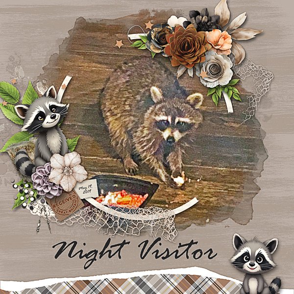 Night Visitor