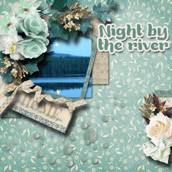 Night_by_the_river