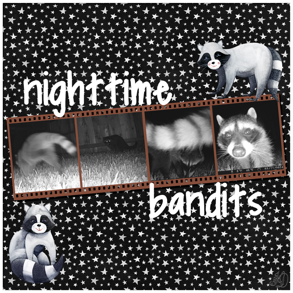 nighttime bandits