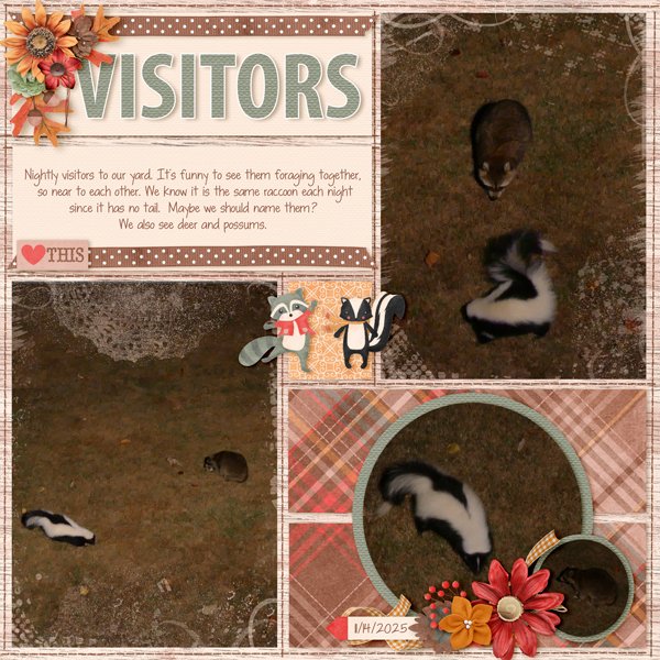 Nighttime Visitors