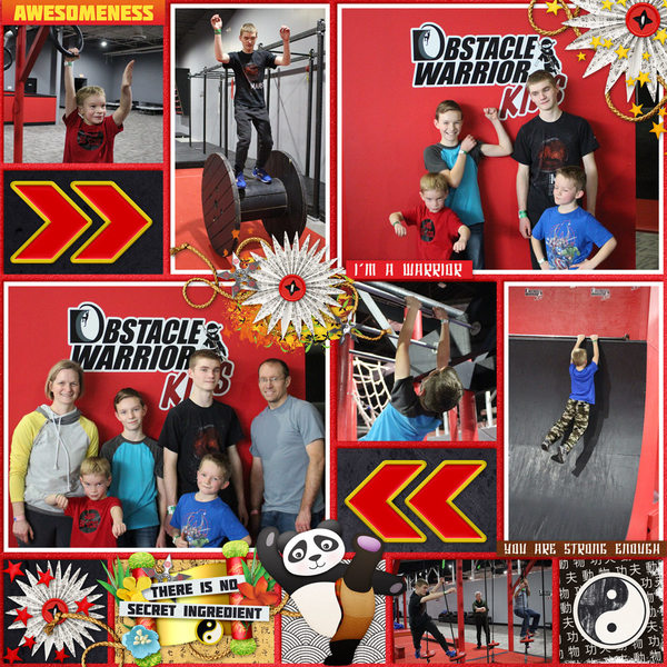 Ninja Warriors