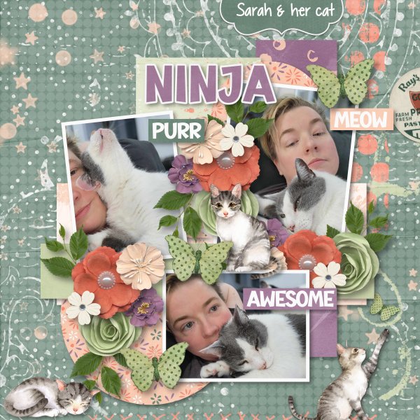 Ninja