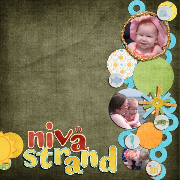 Niv Strand