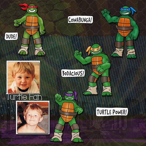 No 1 Turtle Fan