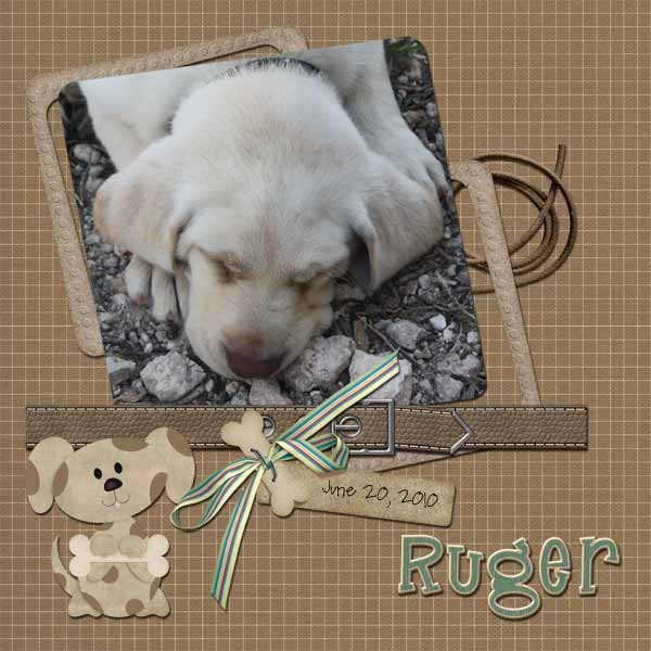 No Bones about it- Ruger