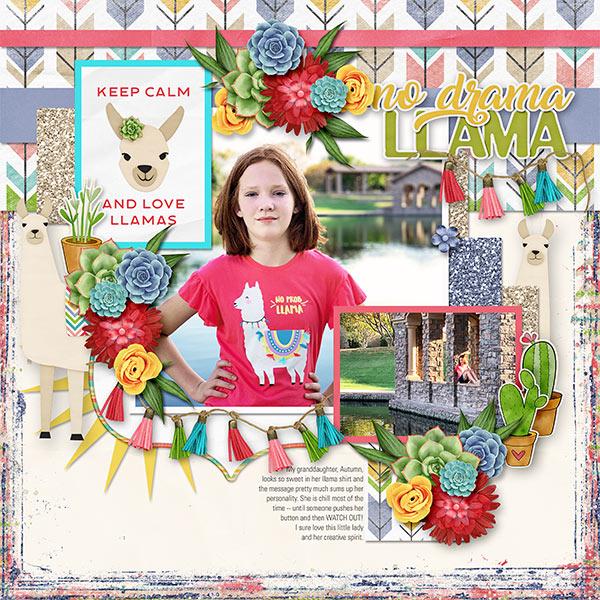 NO DRAMA LLAMA