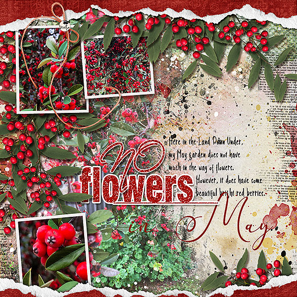No FLowers in May