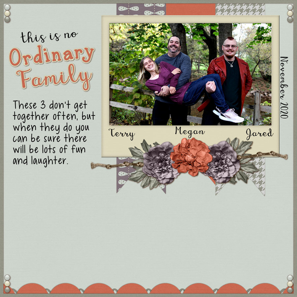 No Ordinary Family
