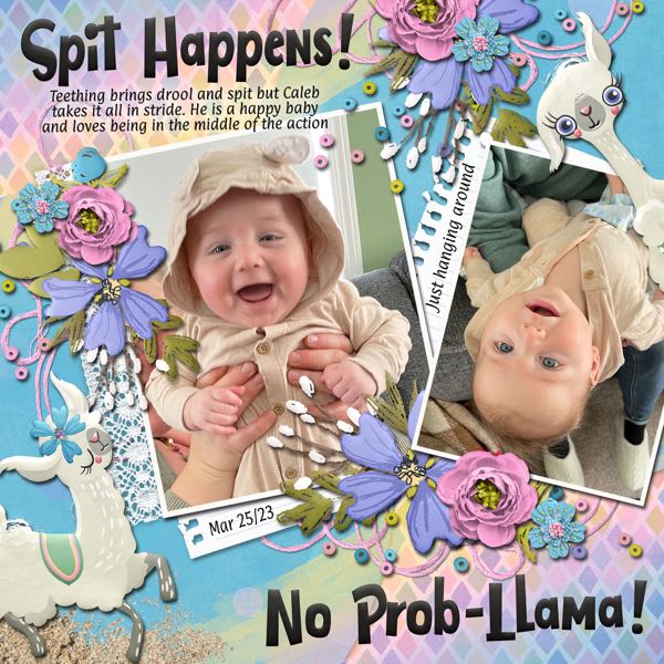 No Prob-Llama