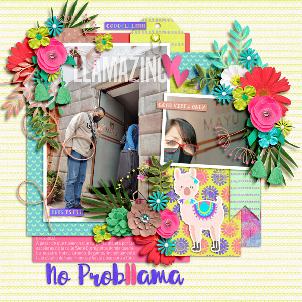 no problem llama