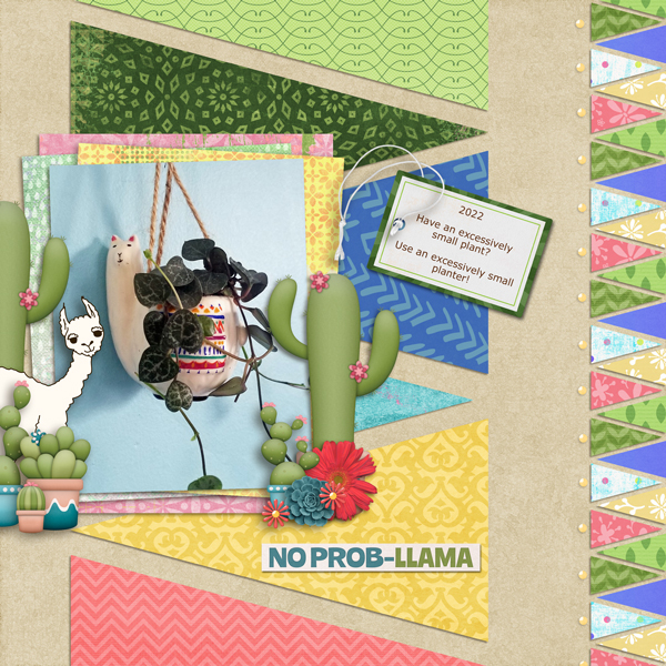 No Probllama 2022