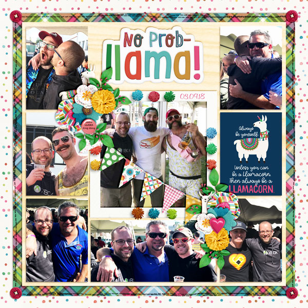 No Probllama